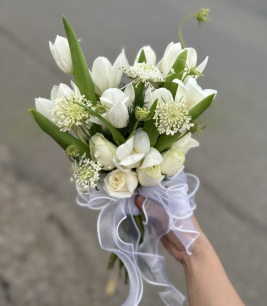 HOA TULIP CẦM TAY CÔ DÂU