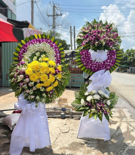  Về Với Đất Mẹ 