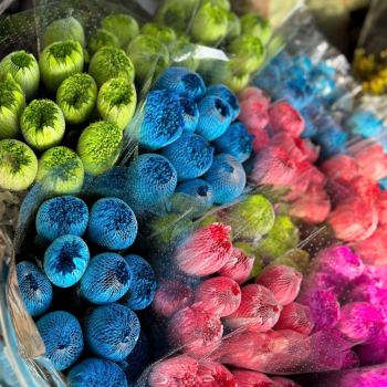 HỌC BÍ KÍP GIỮ HOA TƯƠI LÂU TRONG NGÀY TẾT  