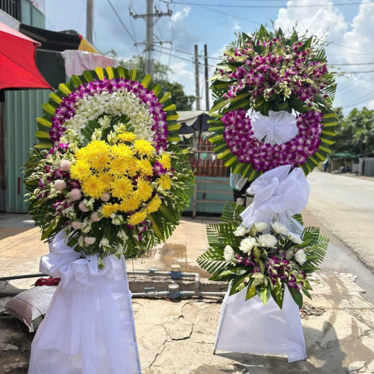  Về Với Đất Mẹ 