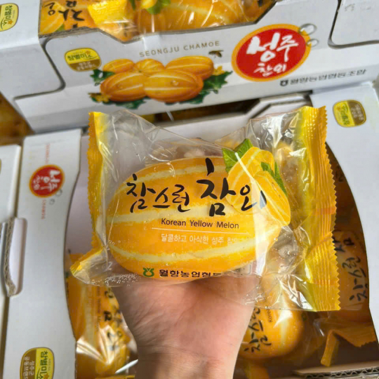 Dưa Lê Vàng Hàn Quốc