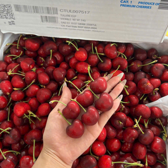 CHERRY MỸ